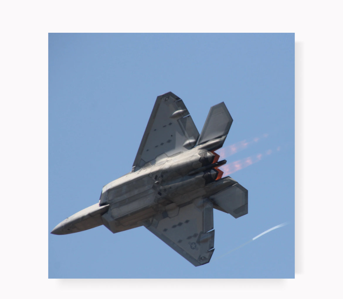 Raptor Roar
